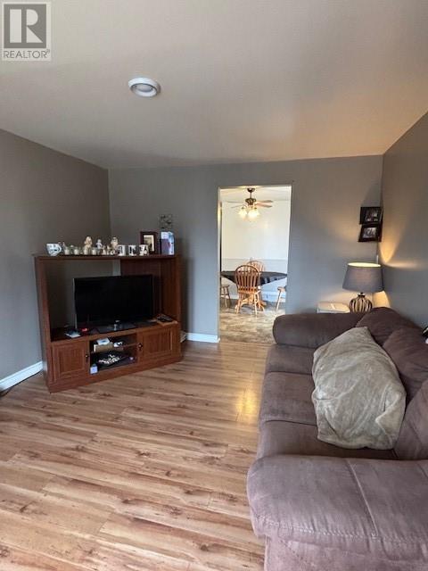 1 Tuff Square, New Wes Valley, Newfoundland & Labrador  A0G 4R0 - Photo 9 - 1292243