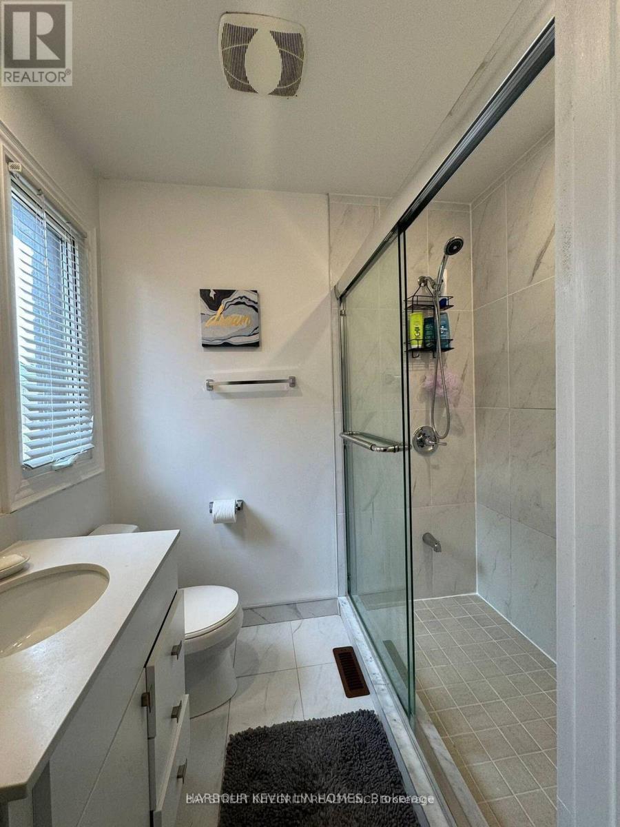 203 Drewry Avenue, Toronto, Ontario  M2M 1E3 - Photo 17 - C12502824