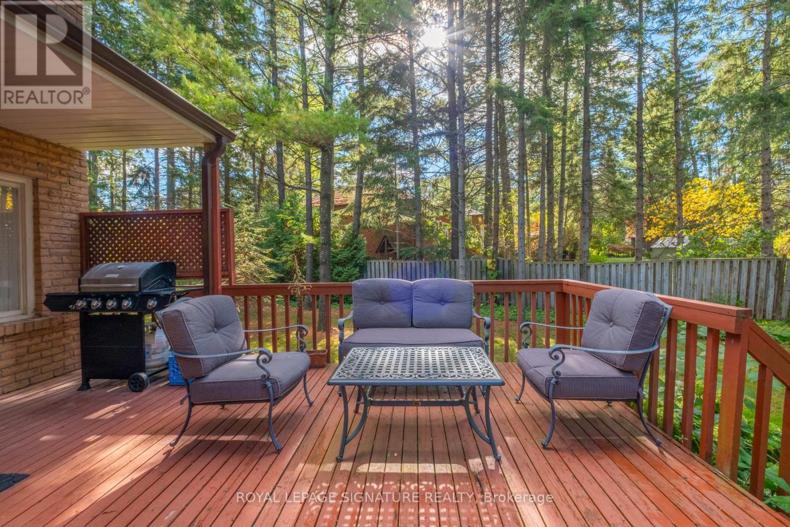 4 Ruth Court, Whitchurch-Stouffville, Ontario  L4A 2E3 - Photo 15 - N12502792