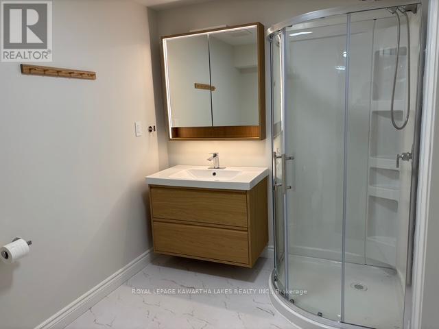 Lower - 1042 Skyline Road, Kawartha Lakes, Ontario K0M 2M0 - Photo 10 - X12503210