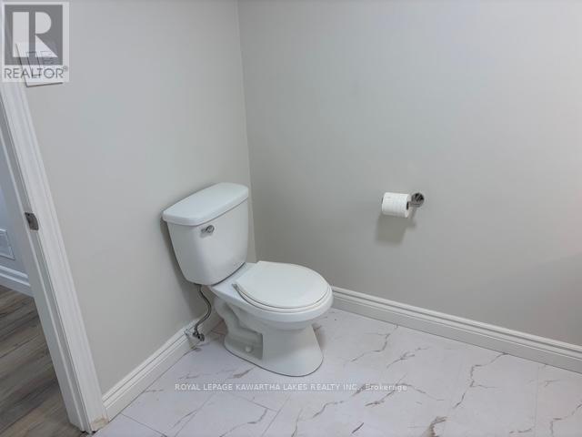 Lower - 1042 Skyline Road, Kawartha Lakes, Ontario K0M 2M0 - Photo 11 - X12503210