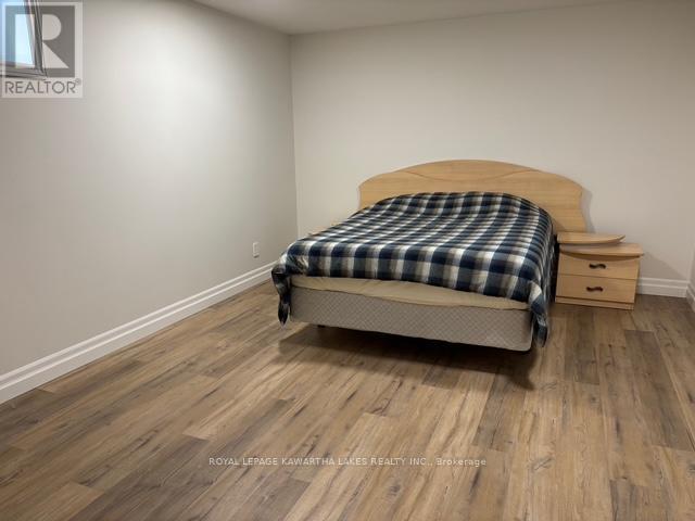 Lower - 1042 Skyline Road, Kawartha Lakes, Ontario K0M 2M0 - Photo 12 - X12503210