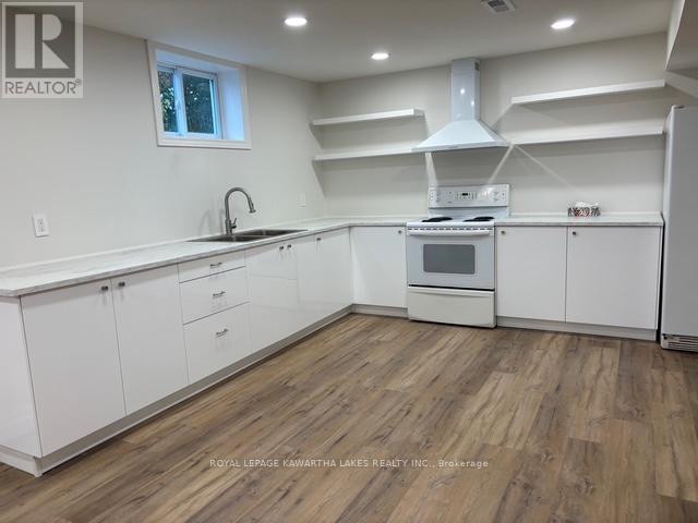 Lower - 1042 Skyline Road, Kawartha Lakes, Ontario K0M 2M0 - Photo 3 - X12503210