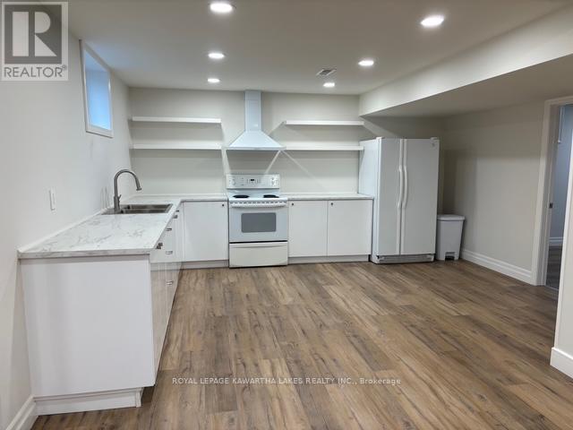 Lower - 1042 Skyline Road, Kawartha Lakes, Ontario K0M 2M0 - Photo 4 - X12503210