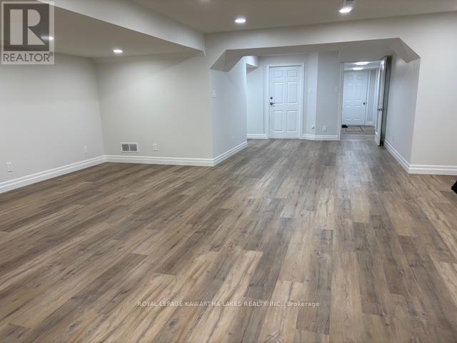 Lower - 1042 Skyline Road, Kawartha Lakes, Ontario K0M 2M0 - Photo 5 - X12503210