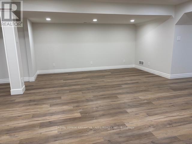 Lower - 1042 Skyline Road, Kawartha Lakes, Ontario K0M 2M0 - Photo 6 - X12503210