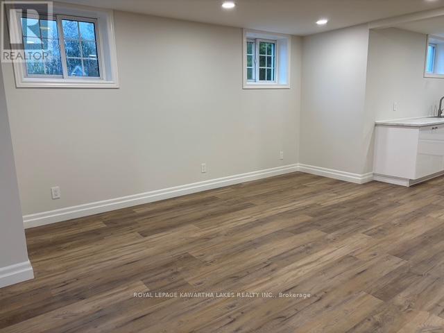 Lower - 1042 Skyline Road, Kawartha Lakes, Ontario K0M 2M0 - Photo 7 - X12503210