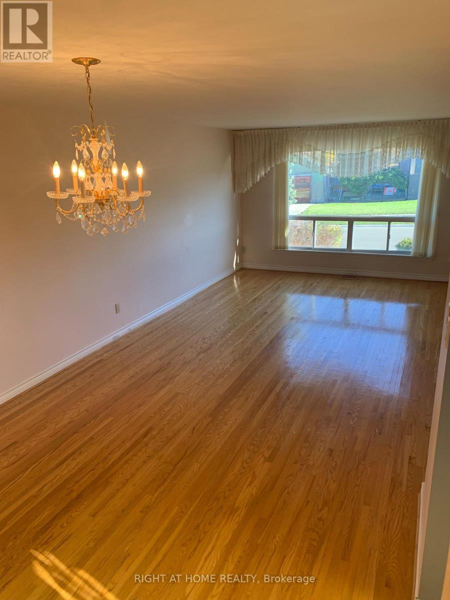 24 Dean Street, Brampton, Ontario  L6W 1M6 - Photo 6 - W12503016