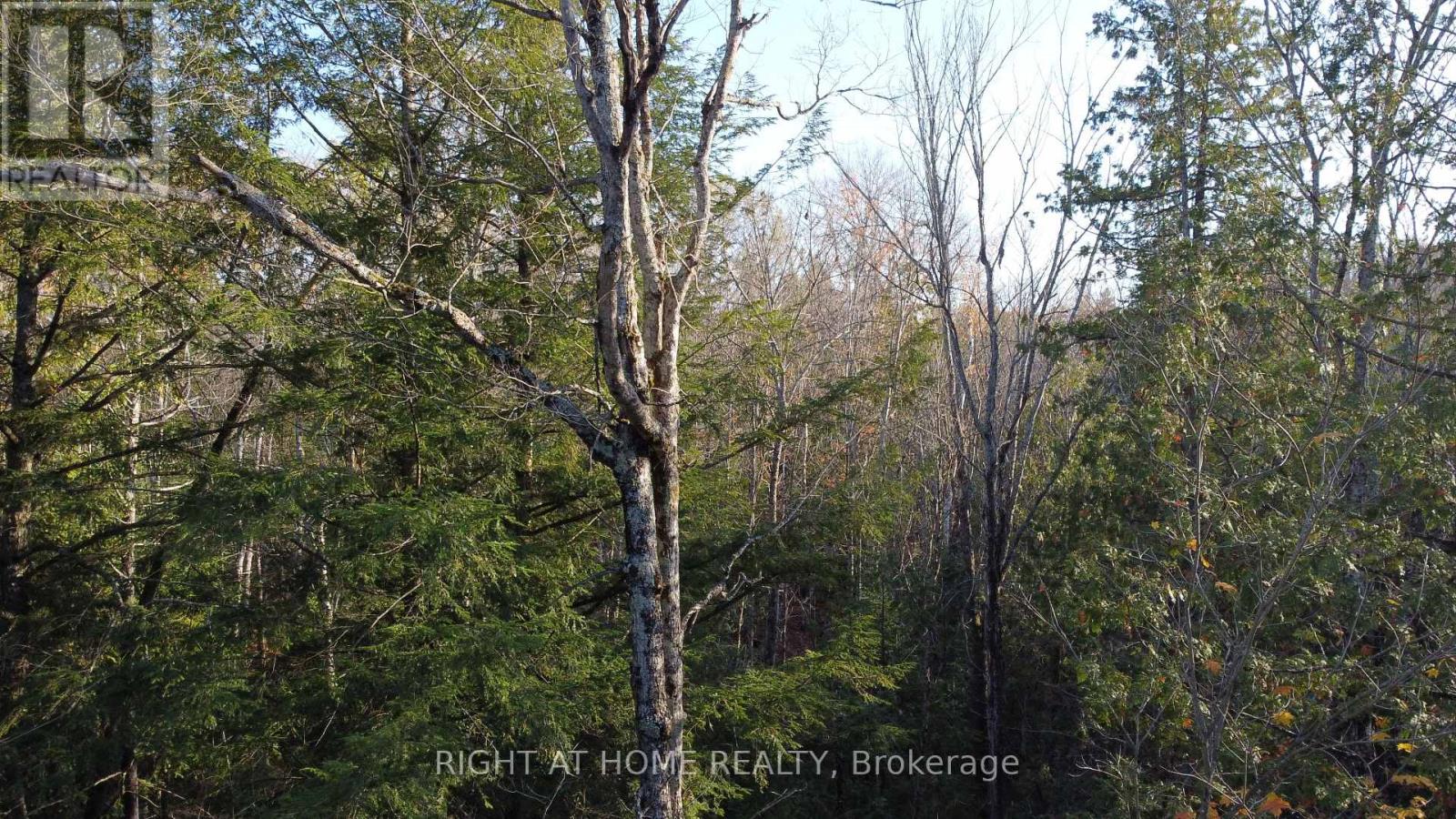 2263 Machar Strong Boundry Road, Strong, Ontario  P0A 1Z0 - Photo 3 - X12502796