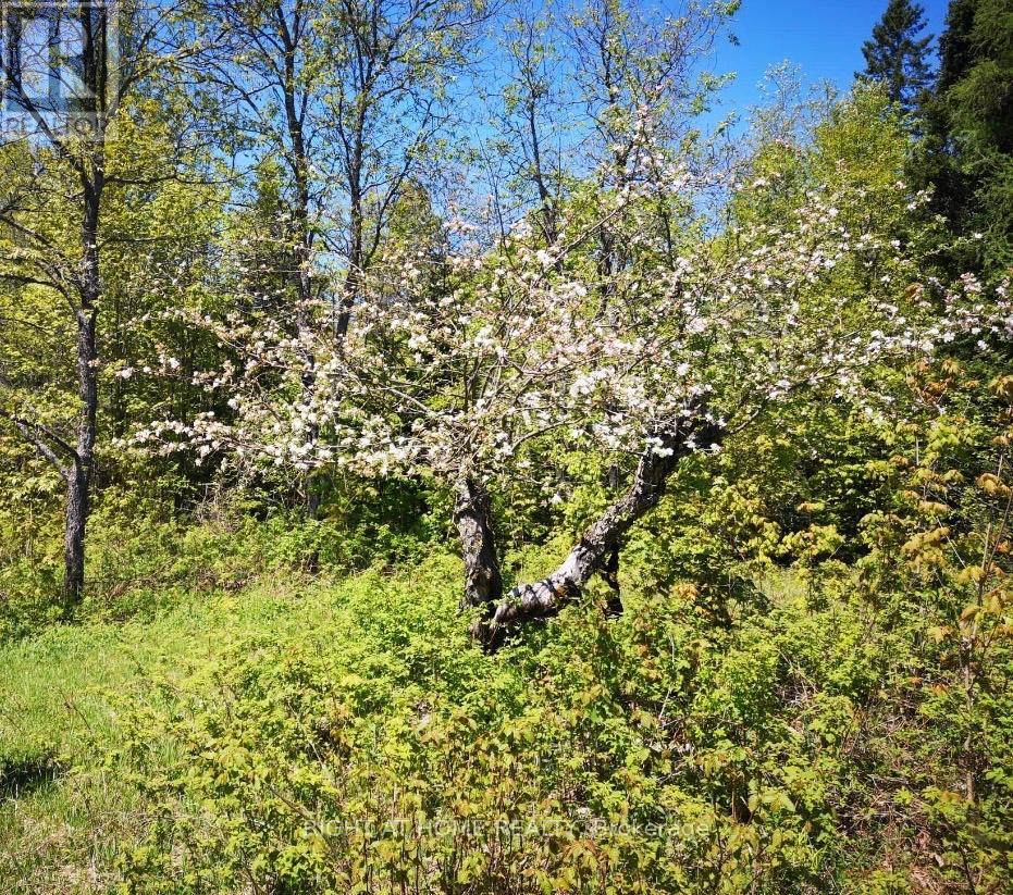 2263 Machar Strong Boundry Road, Strong, Ontario  P0A 1Z0 - Photo 4 - X12502796