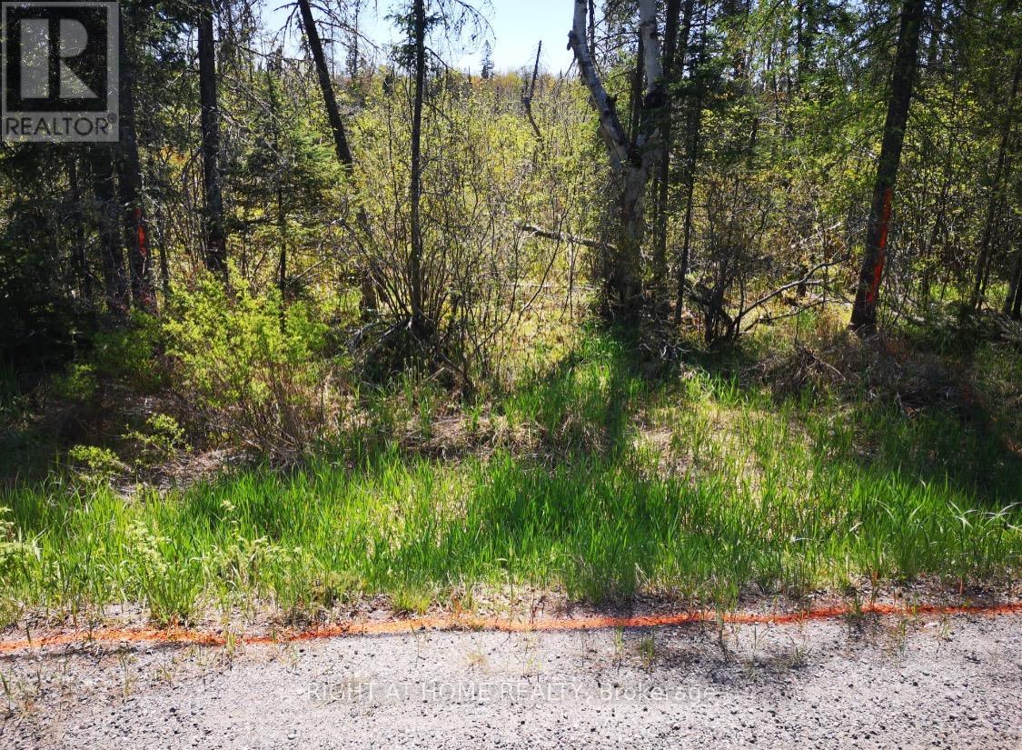 2263 Machar Strong Boundry Road, Strong, Ontario  P0A 1Z0 - Photo 6 - X12502796