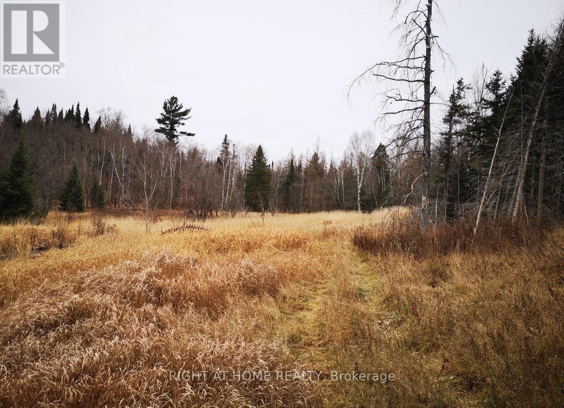 2263 Machar Strong Boundry Road, Strong, Ontario  P0A 1Z0 - Photo 7 - X12502796