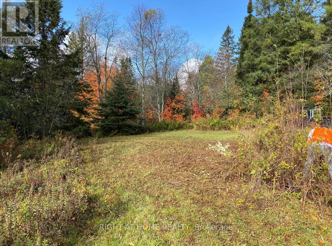 2263 Machar Strong Boundry Road, Strong, Ontario  P0A 1Z0 - Photo 8 - X12502796