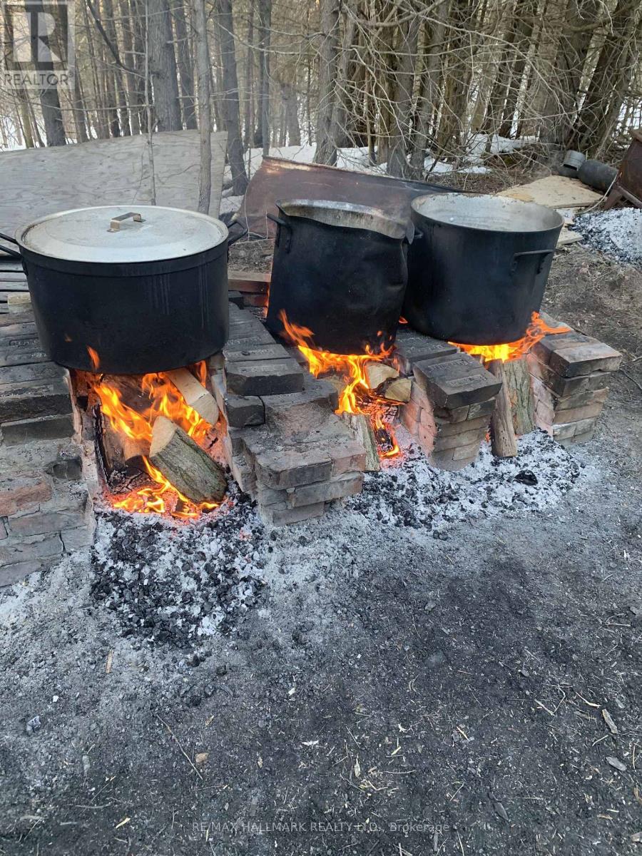 344398 North Line, West Grey, Ontario  N0C 1K0 - Photo 24 - X12503010