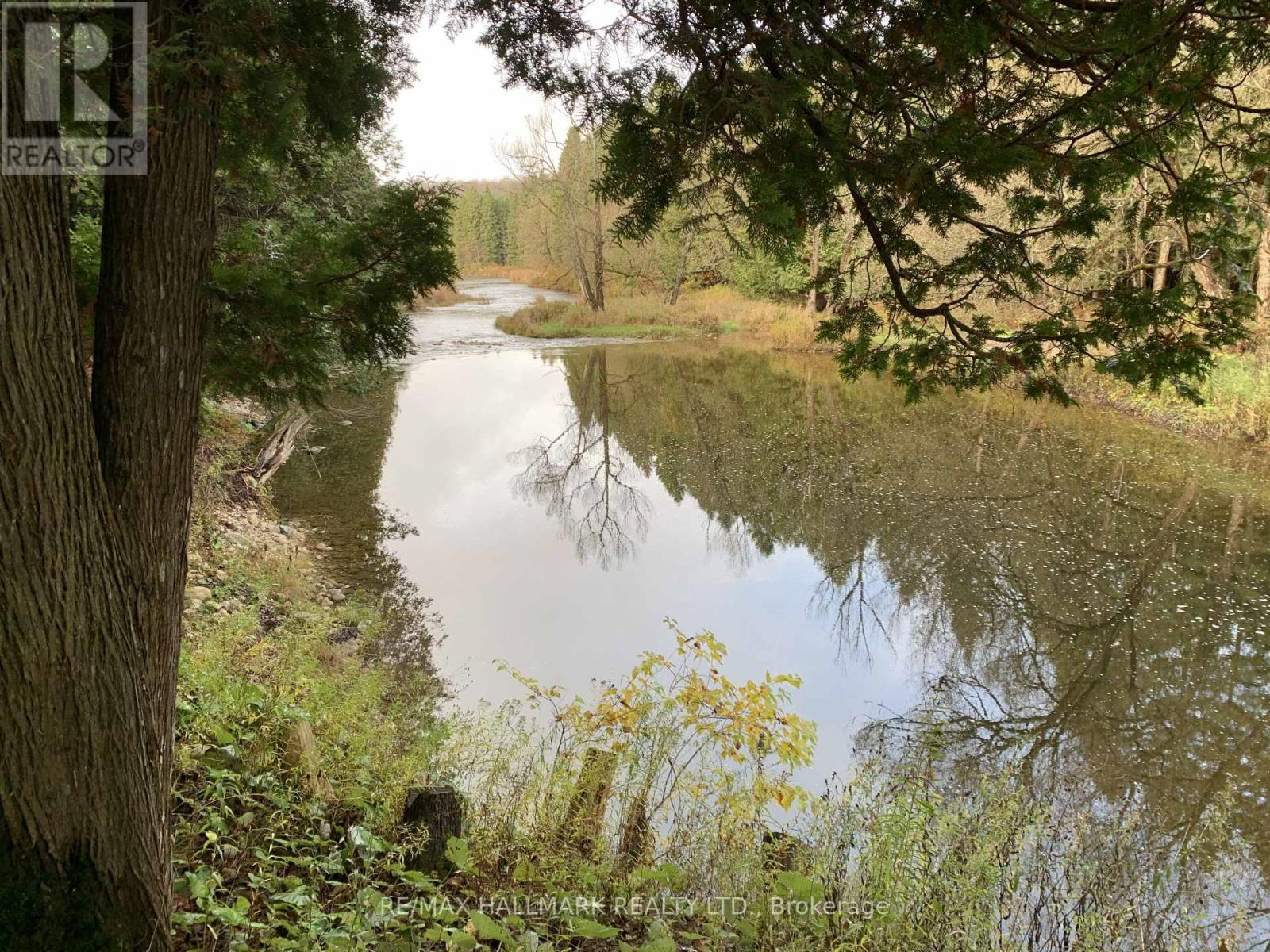 344398 North Line, West Grey, Ontario  N0C 1K0 - Photo 26 - X12503010