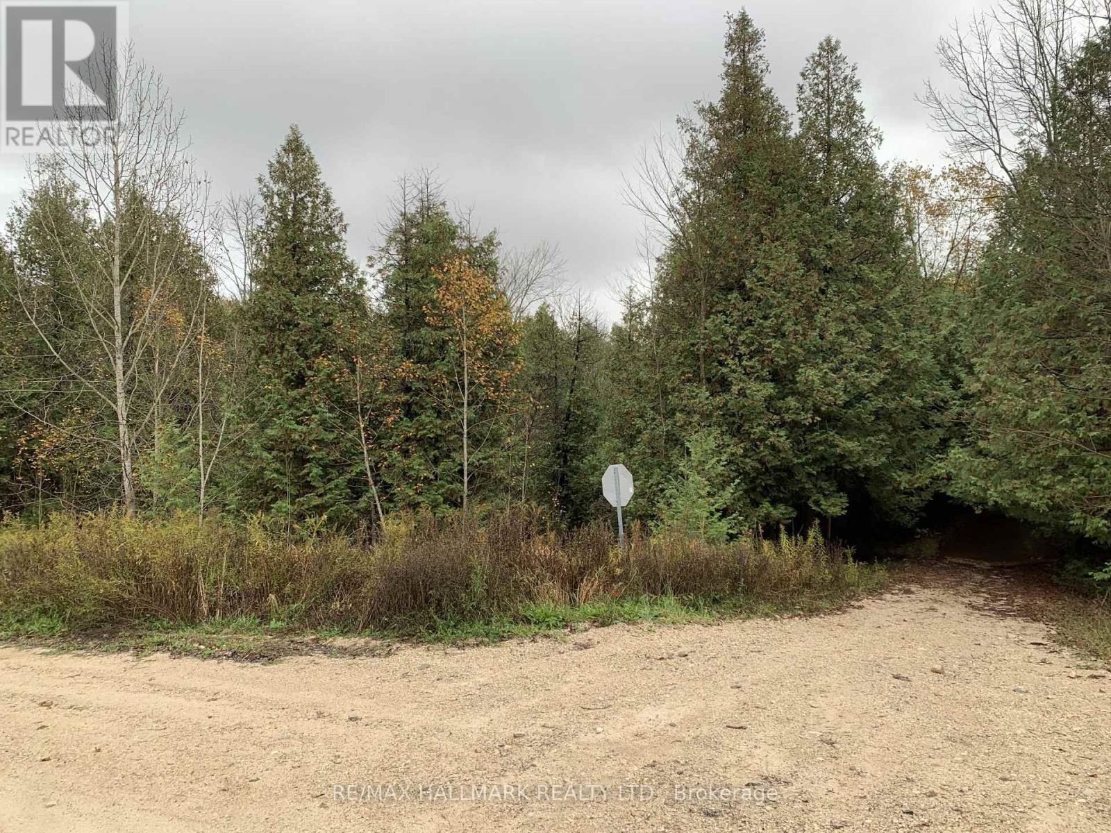 344398 North Line, West Grey, Ontario  N0C 1K0 - Photo 4 - X12503010