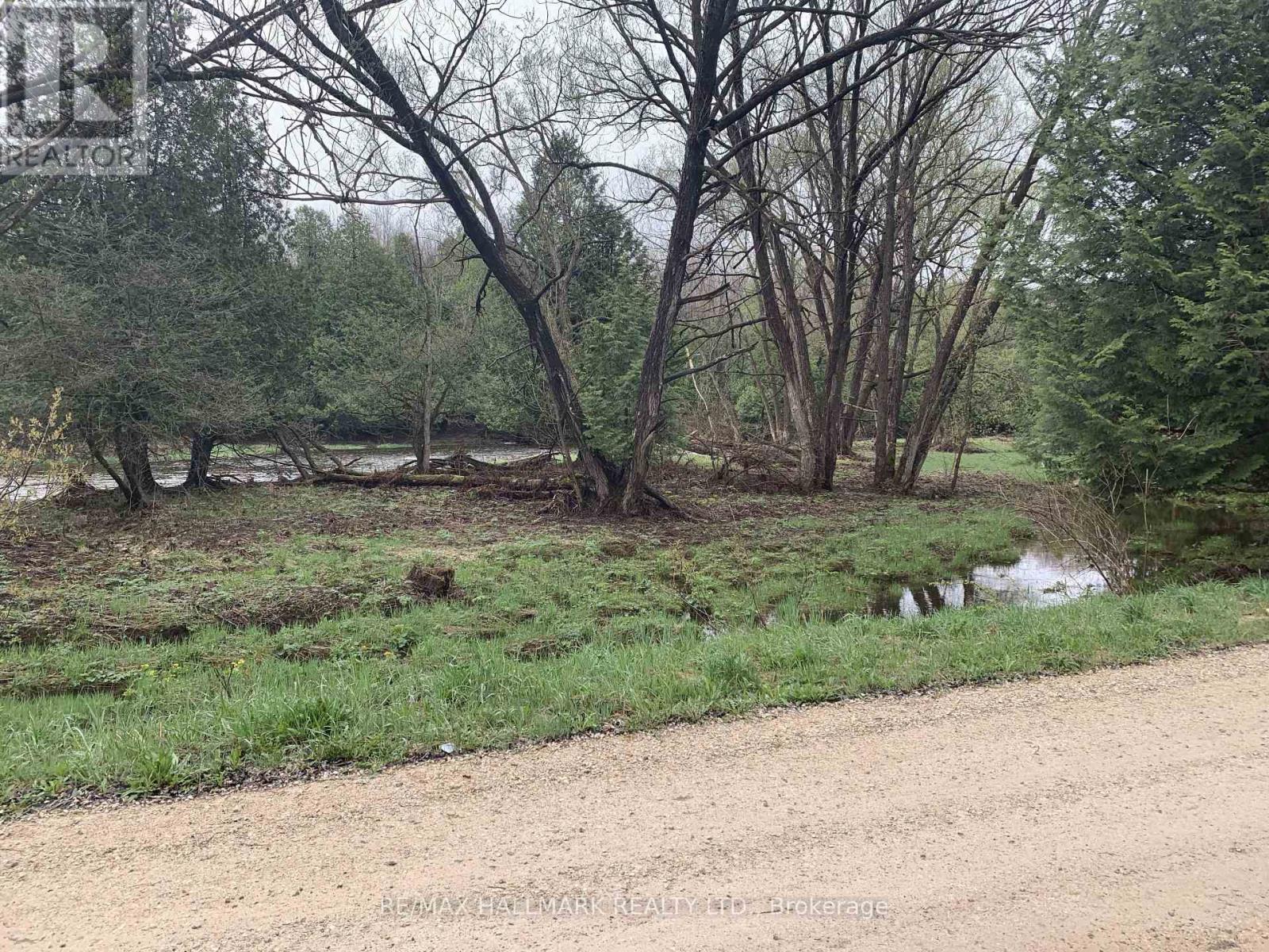 344398 North Line, West Grey, Ontario  N0C 1K0 - Photo 5 - X12503010