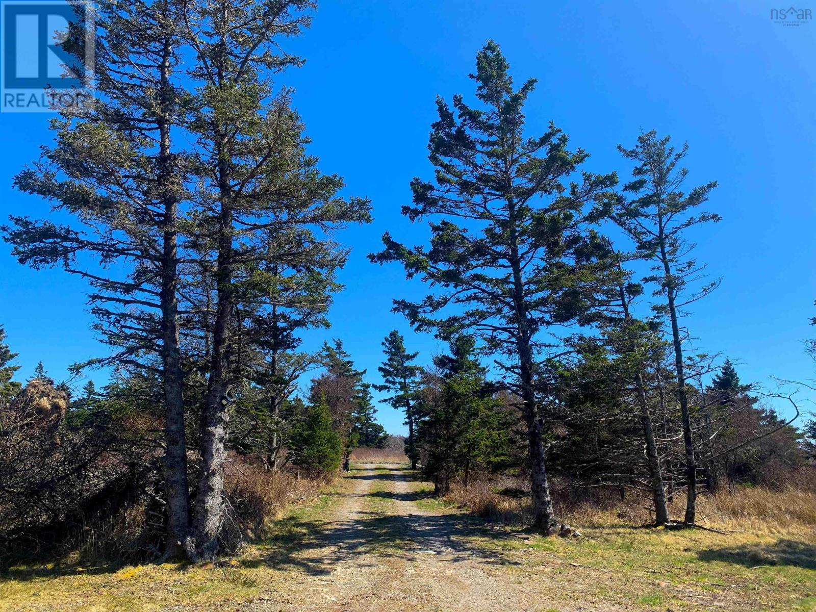 25 Dargie Cove Road, Woodvale, Nova Scotia  B5A 5B1 - Photo 31 - 202510207