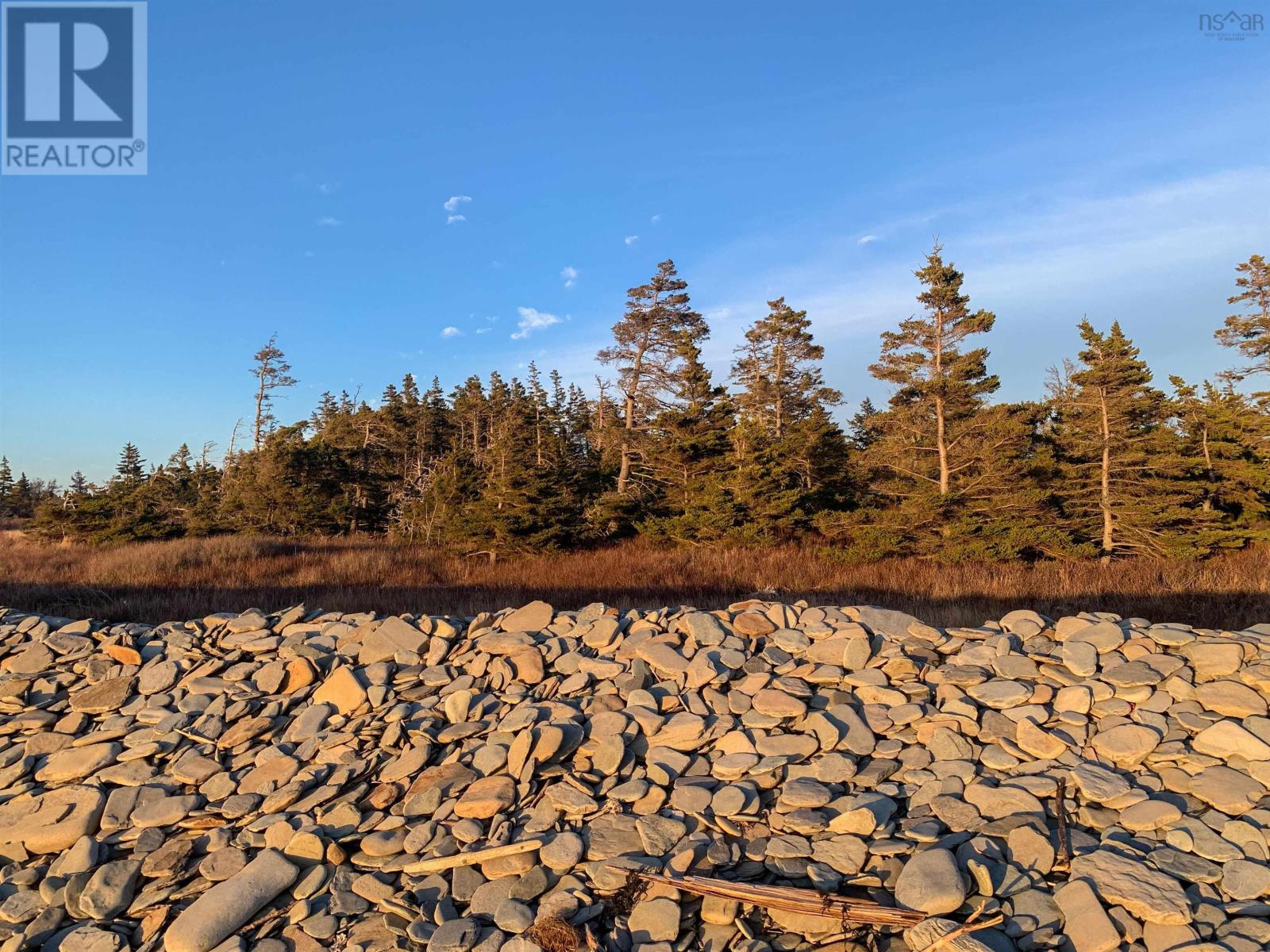 25 Dargie Cove Road, Woodvale, Nova Scotia  B5A 5B1 - Photo 43 - 202510207