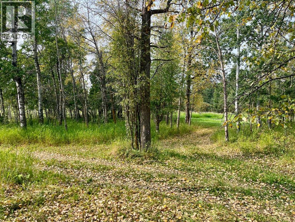 381040 Range Road 4-5, Rural Clearwater County, Alberta  T0M 0X0 - Photo 38 - A2251640