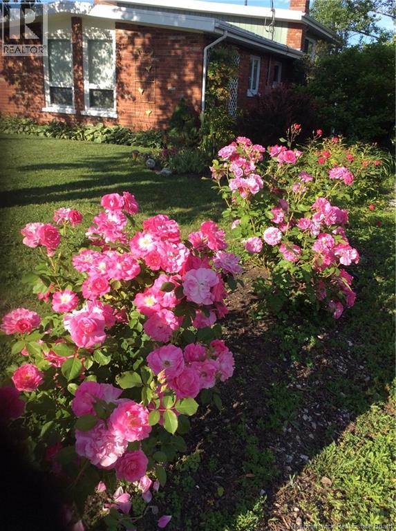 845 O'neil Avenue, Bathurst, New Brunswick  E2A 2L2 - Photo 47 - NB125996