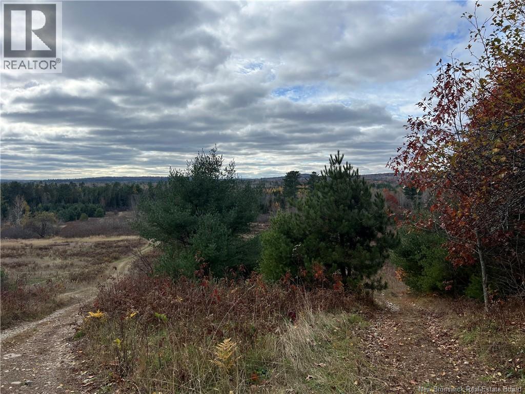 01 Hall Road, Mohannes, New Brunswick  E3L 5V8 - Photo 7 - NB129571