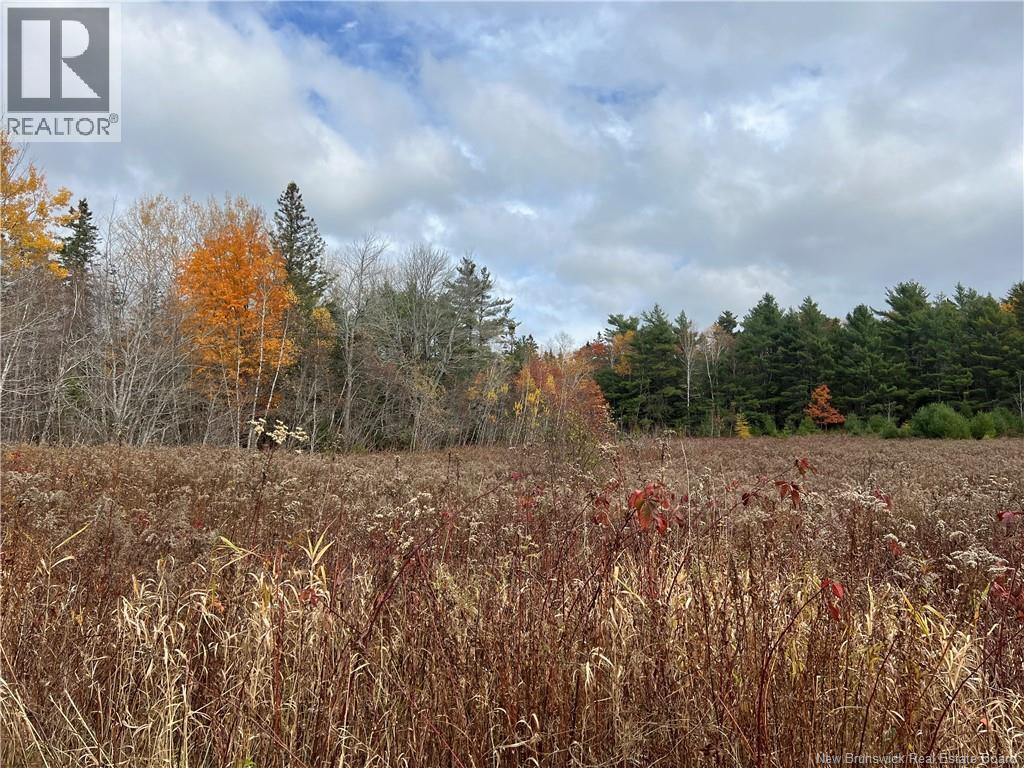 01 Hall Road, Mohannes, New Brunswick  E3L 5V8 - Photo 1 - NB129571