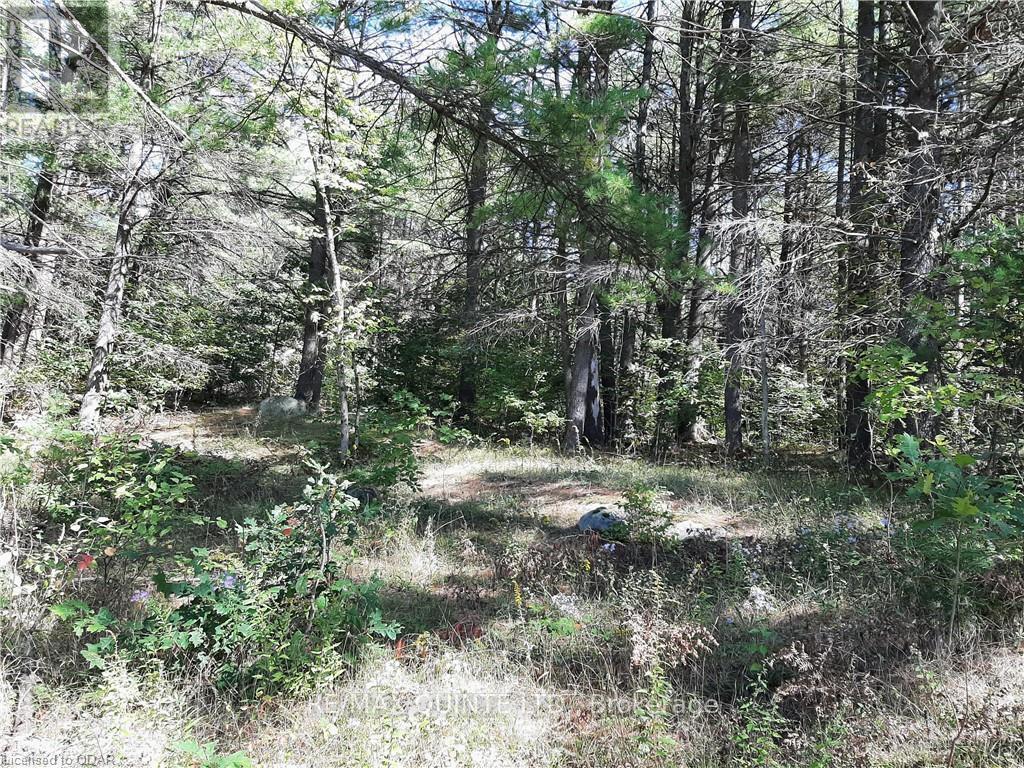 0 Pt Lt12 Con14 Hwy 37 Road, Tweed, Ontario K0K 3J0 - Photo 10 - X12503318