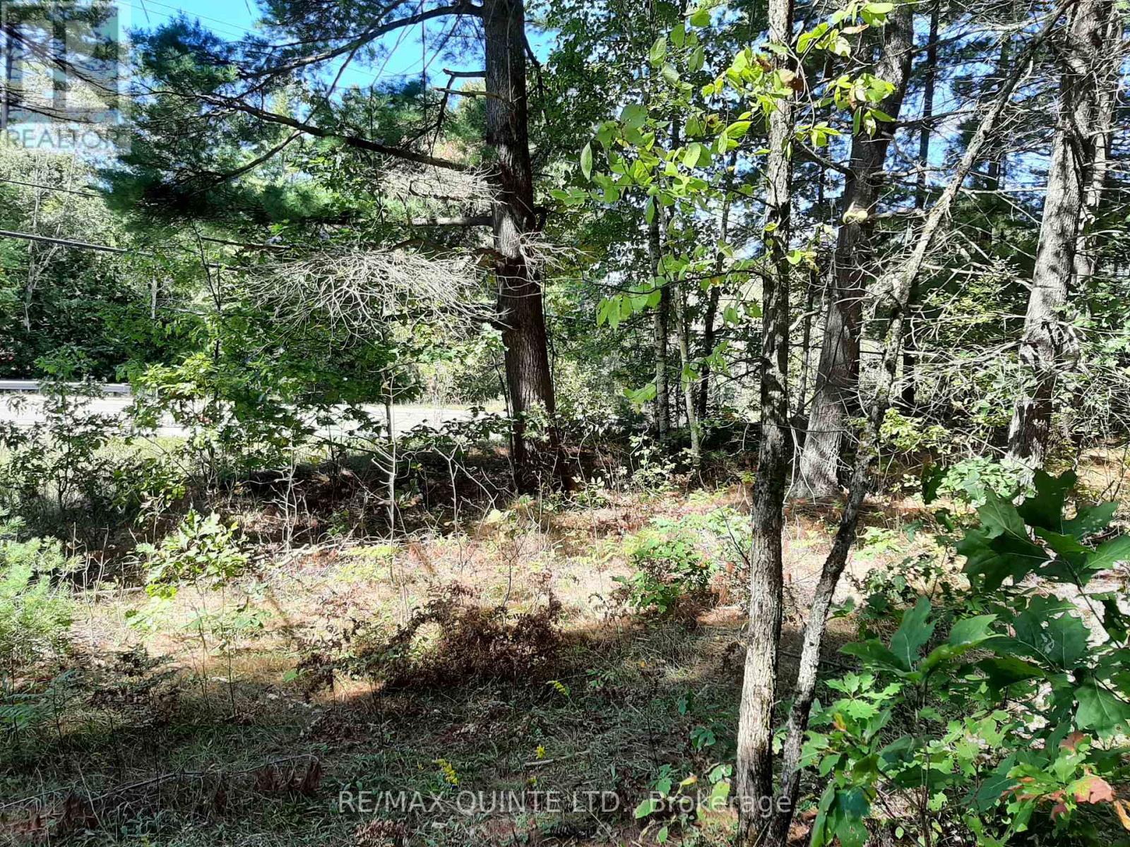 0 Pt Lt12 Con14 Hwy 37 Road, Tweed, Ontario K0K 3J0 - Photo 11 - X12503318