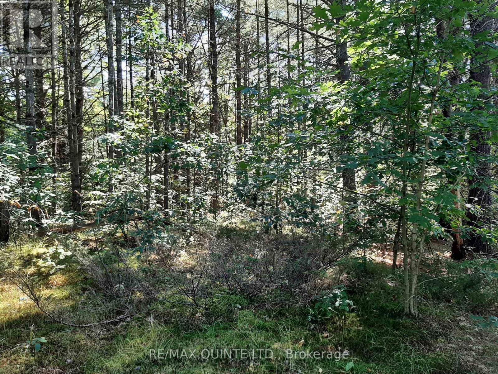 0 Pt Lt12 Con14 Hwy 37 Road, Tweed, Ontario K0K 3J0 - Photo 12 - X12503318