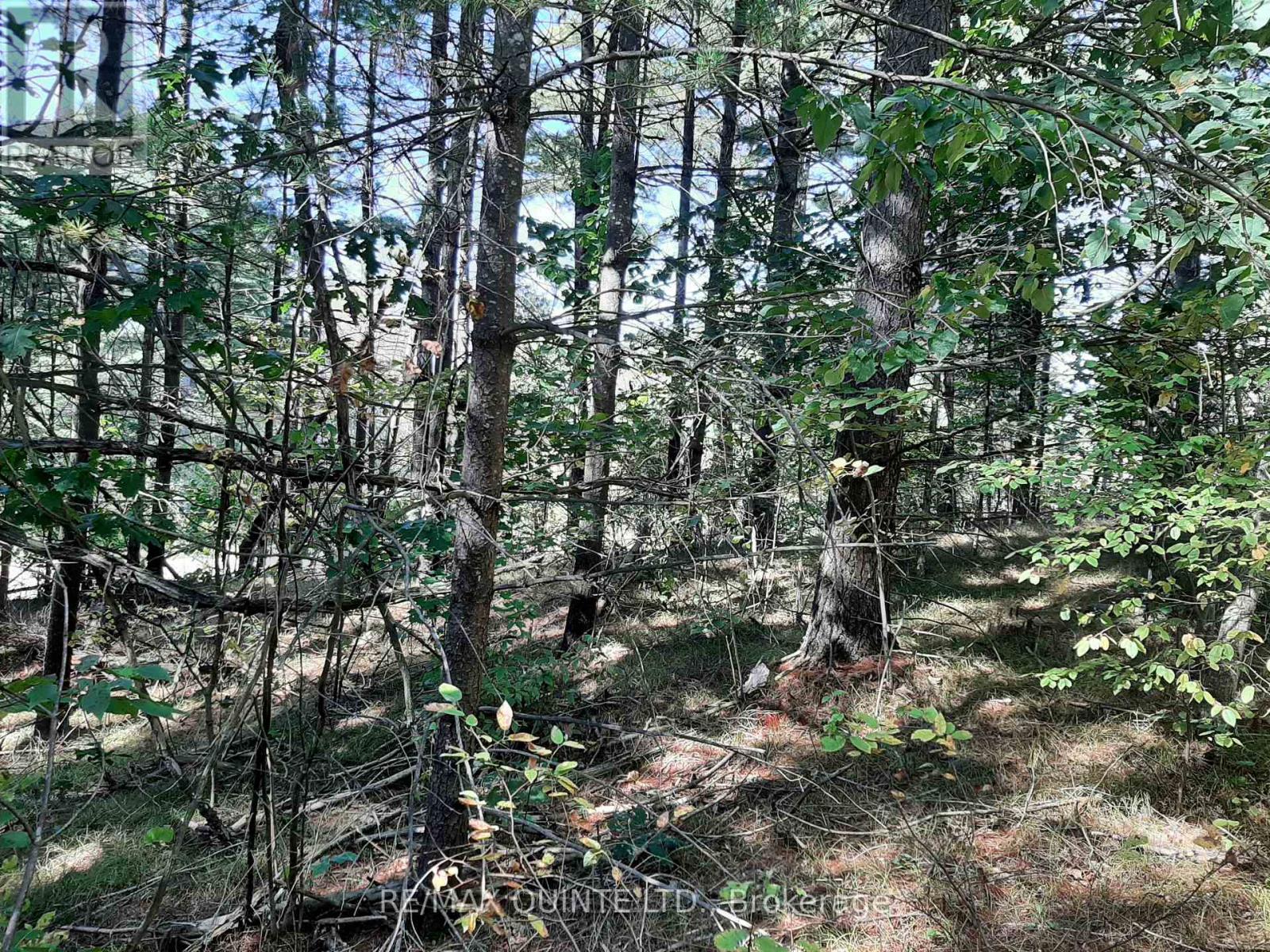 0 Pt Lt12 Con14 Hwy 37 Road, Tweed, Ontario K0K 3J0 - Photo 13 - X12503318