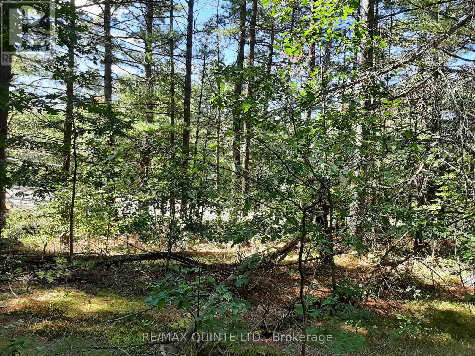 0 Pt Lt12 Con14 Hwy 37 Road, Tweed, Ontario K0K 3J0 - Photo 14 - X12503318