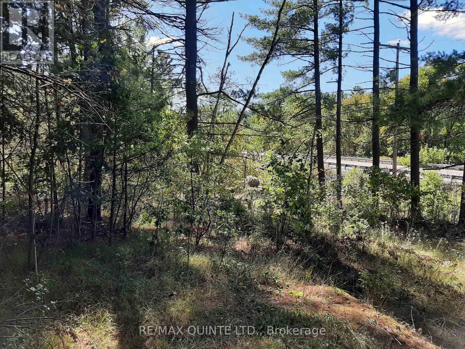 0 Pt Lt12 Con14 Hwy 37 Road, Tweed, Ontario K0K 3J0 - Photo 15 - X12503318