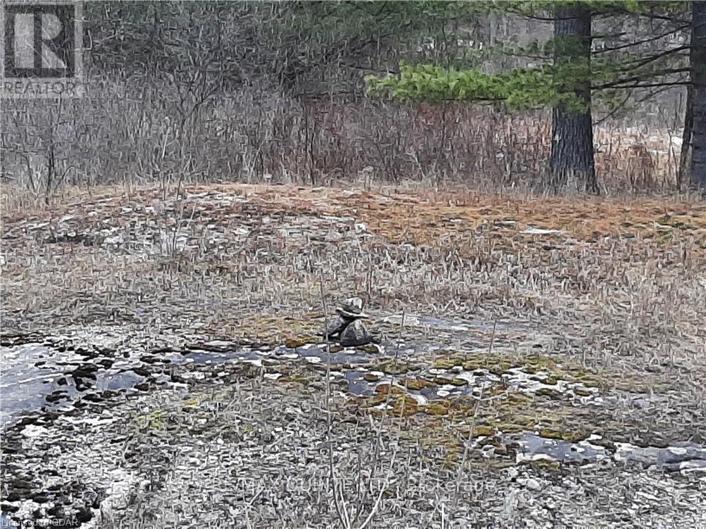 0 Pt Lt12 Con14 Hwy 37 Road, Tweed, Ontario K0K 3J0 - Photo 16 - X12503318