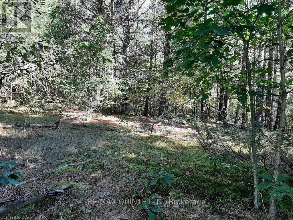 0 Pt Lt12 Con14 Hwy 37 Road, Tweed, Ontario K0K 3J0 - Photo 4 - X12503318