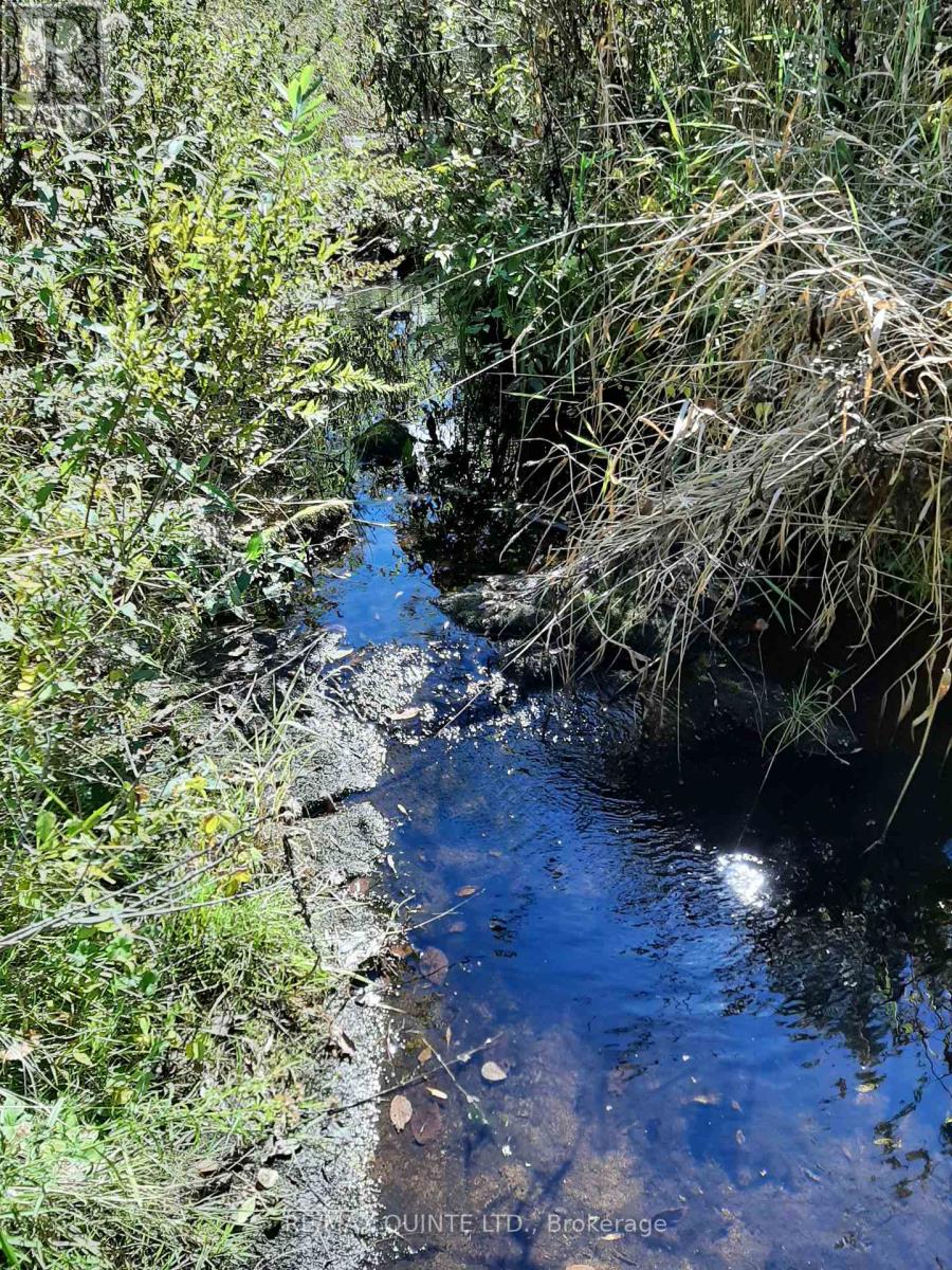 0 Pt Lt12 Con14 Hwy 37 Road, Tweed, Ontario K0K 3J0 - Photo 5 - X12503318