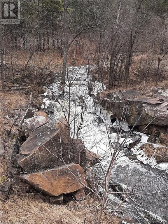 0 Pt Lt12 Con14 Hwy 37 Road, Tweed, Ontario K0K 3J0 - Photo 6 - X12503318