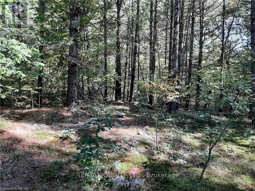 0 Pt Lt12 Con14 Hwy 37 Road, Tweed, Ontario K0K 3J0 - Photo 8 - X12503318