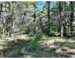 0 PT LT12 CON14 HWY 37 ROAD, Tweed, Ontario