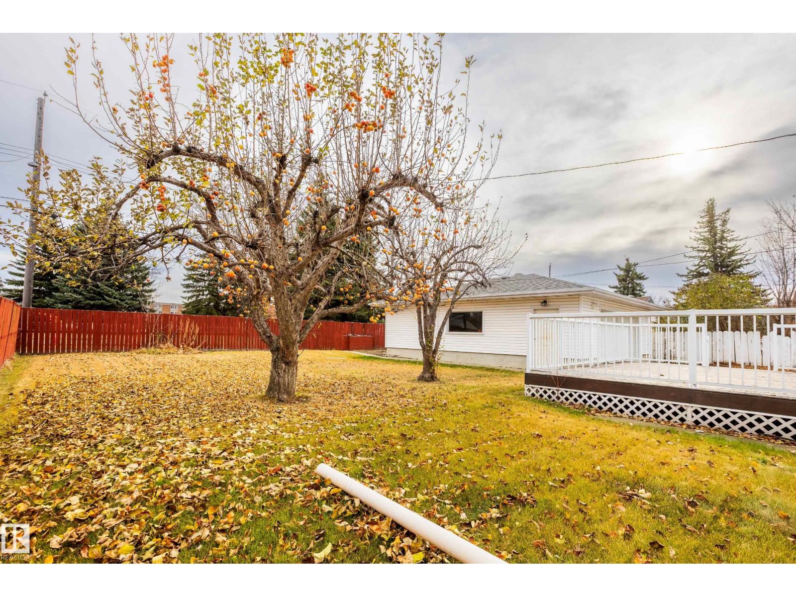 11921 36 St Nw, Edmonton, Alberta  T5W 2B3 - Photo 37 - E4464536