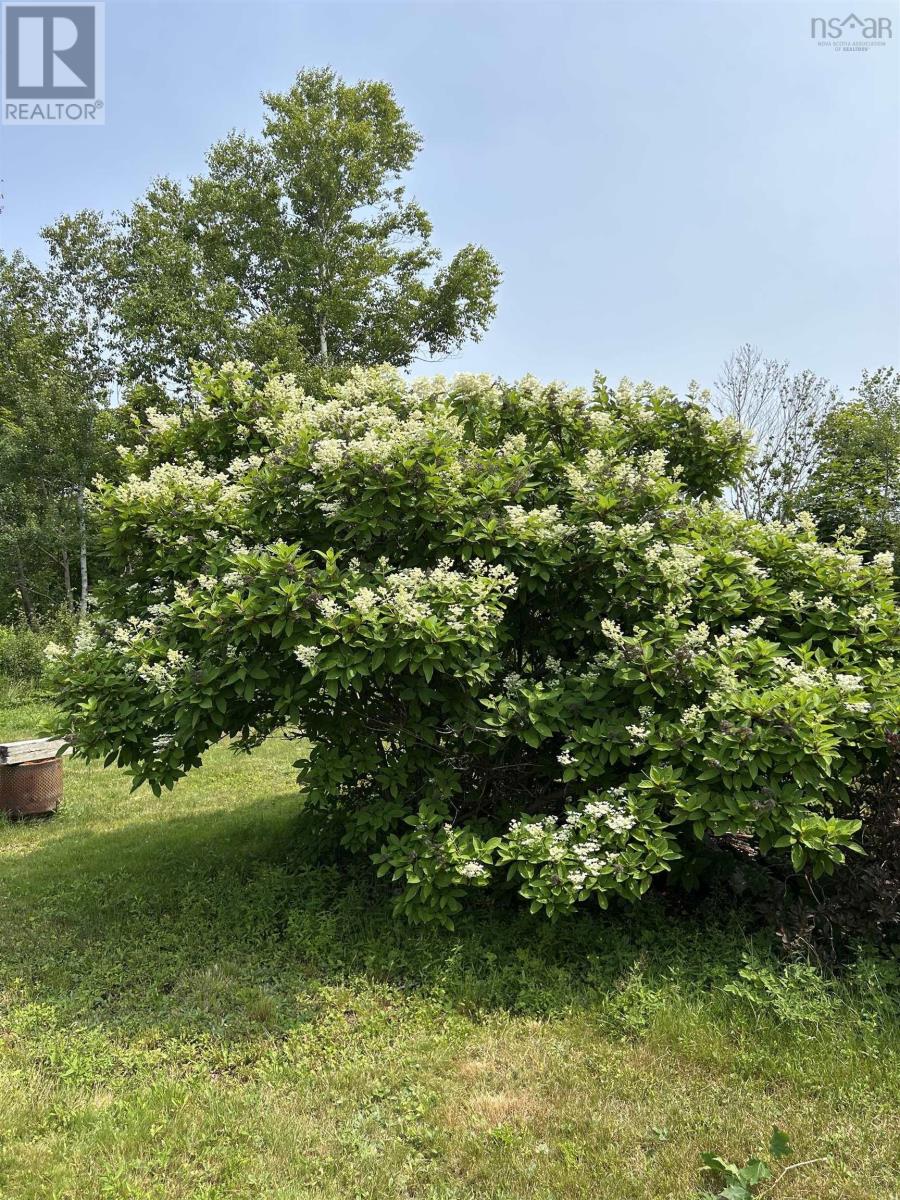 5711 Union Highway, River Ryan, Nova Scotia  B1H 5J9 - Photo 18 - 202518656