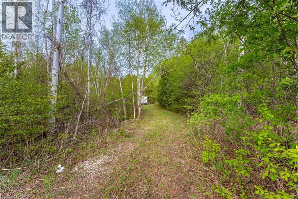 4313 Sideroad 20, Bradford, Ontario  L3Z 2A5 - Photo 44 - 40781634