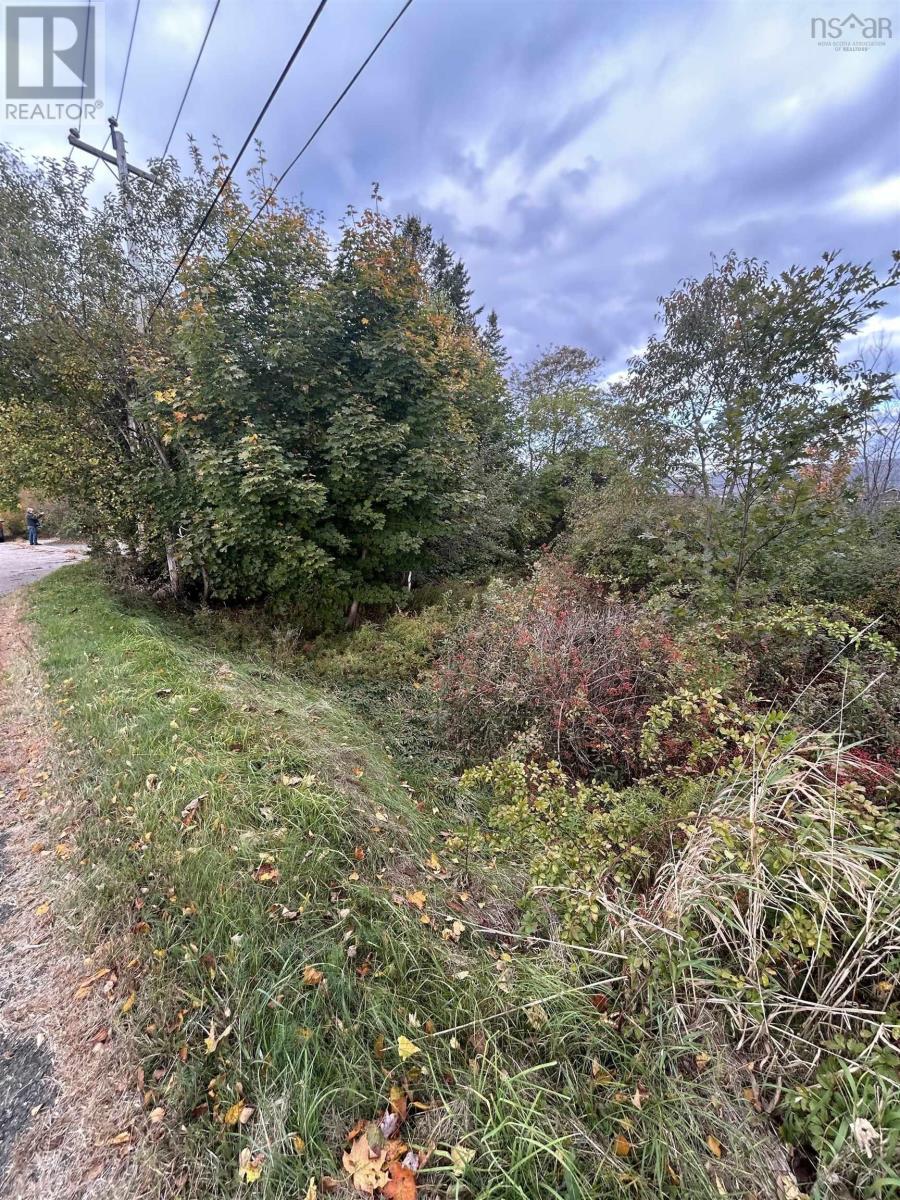 3581 Highway 201, Centrelea, Nova Scotia  B0S 1C0 - Photo 2 - 202527128