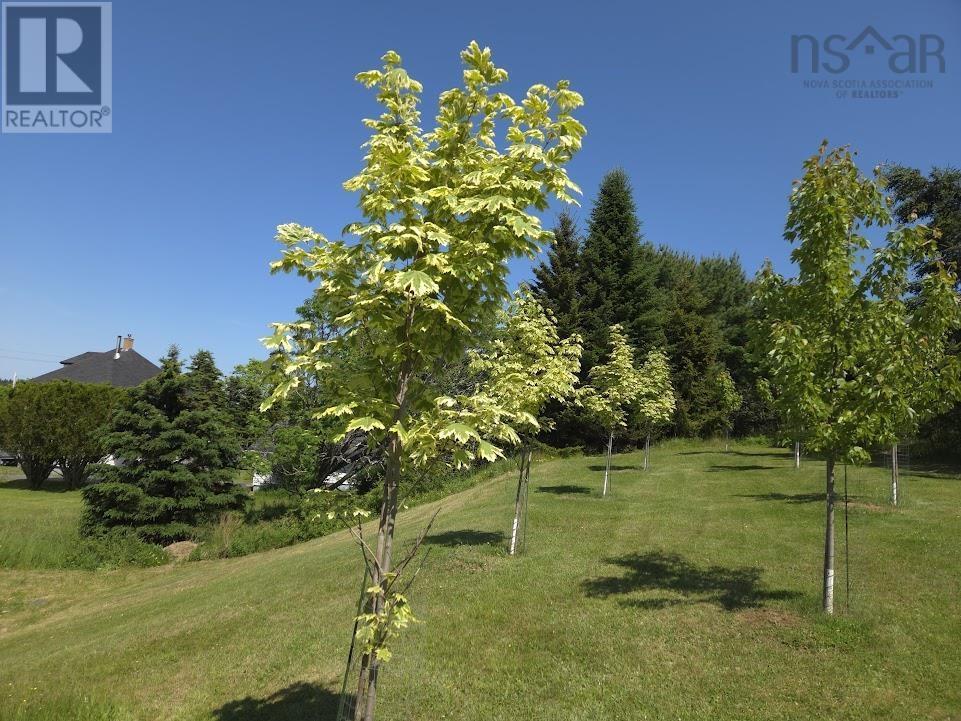 3781 Highway 332, Riverport, Nova Scotia  B0J 2W0 - Photo 16 - 202515094