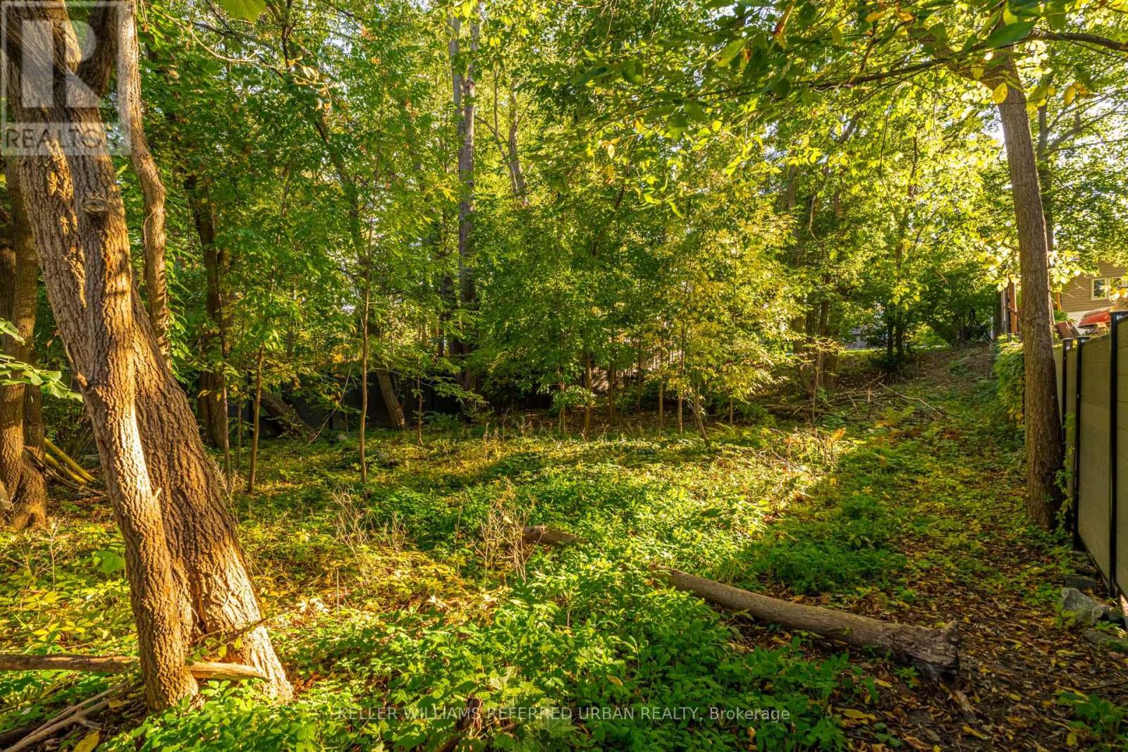 1487 Myron Drive, Mississauga, Ontario  L5E 2N5 - Photo 44 - W12503164