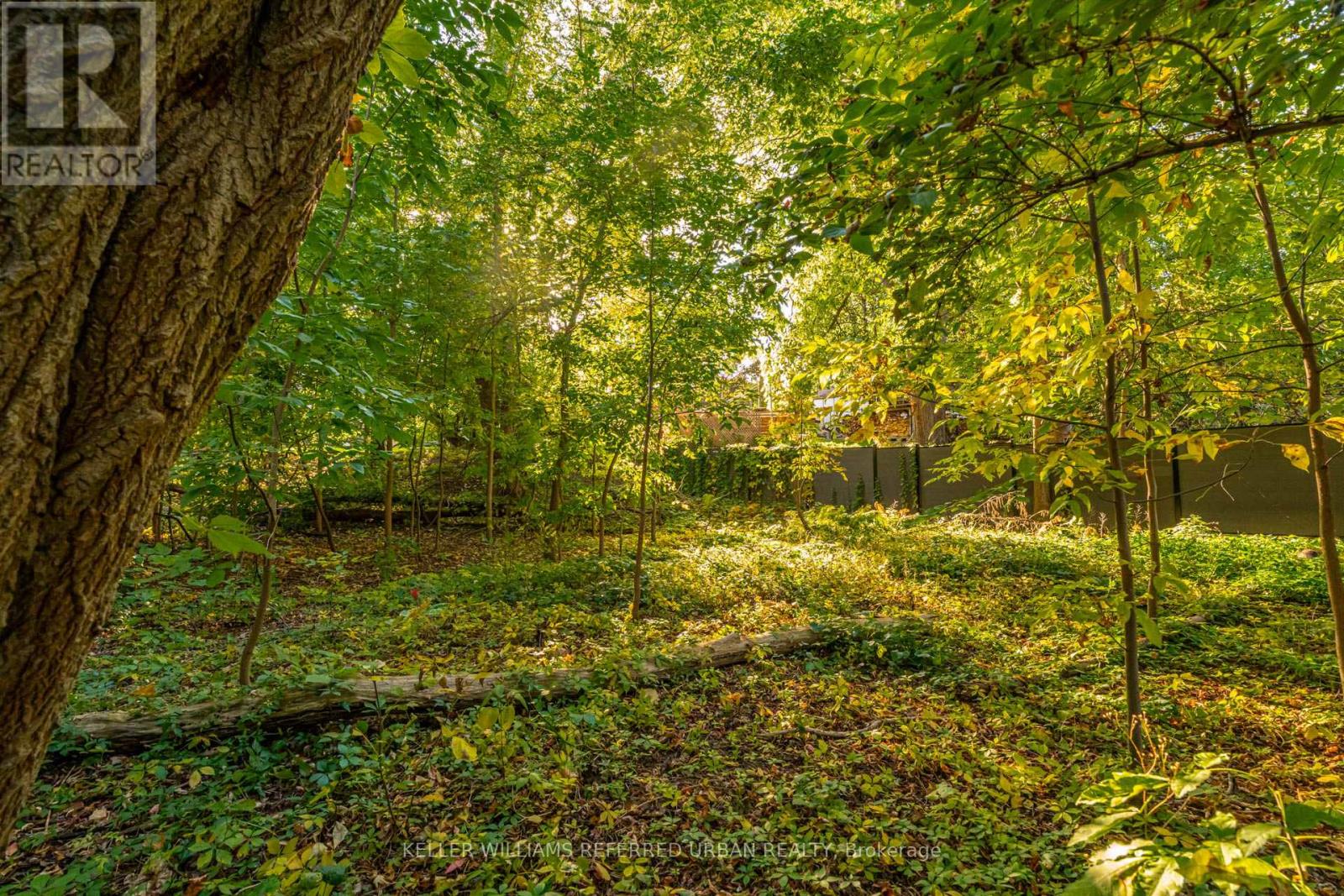 1487 Myron Drive, Mississauga, Ontario  L5E 2N5 - Photo 45 - W12503164