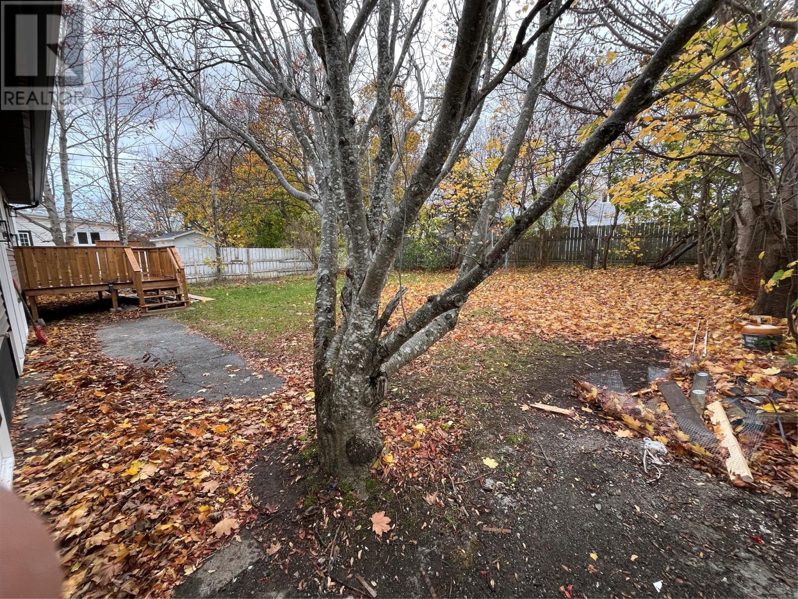 50 Torbay Road Unit#a, St. John's, Newfoundland & Labrador  A1A 2G4 - Photo 4 - 1292208