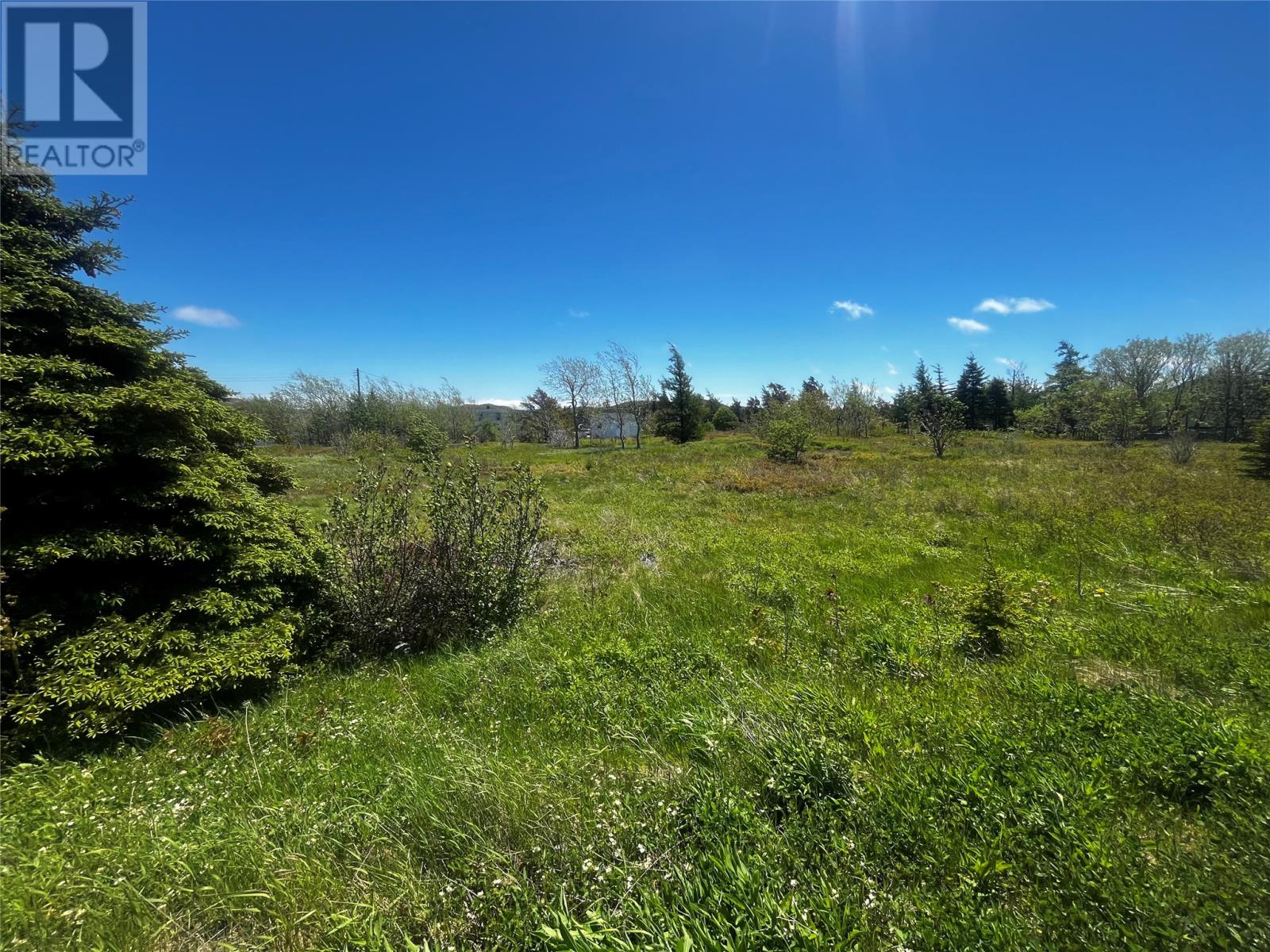 0 Southside Road, Western Bay, Newfoundland & Labrador  A0A 4J0 - Photo 6 - 1292170