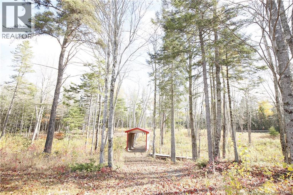 264 Niagara Road, Lower Coverdale, New Brunswick E1J 1S4 - Photo 48 - NB129177