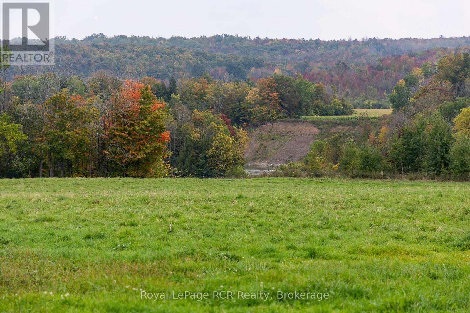 126010 13th Sideroad, Meaford, Ontario  N4L 1W6 - Photo 6 - X12503678